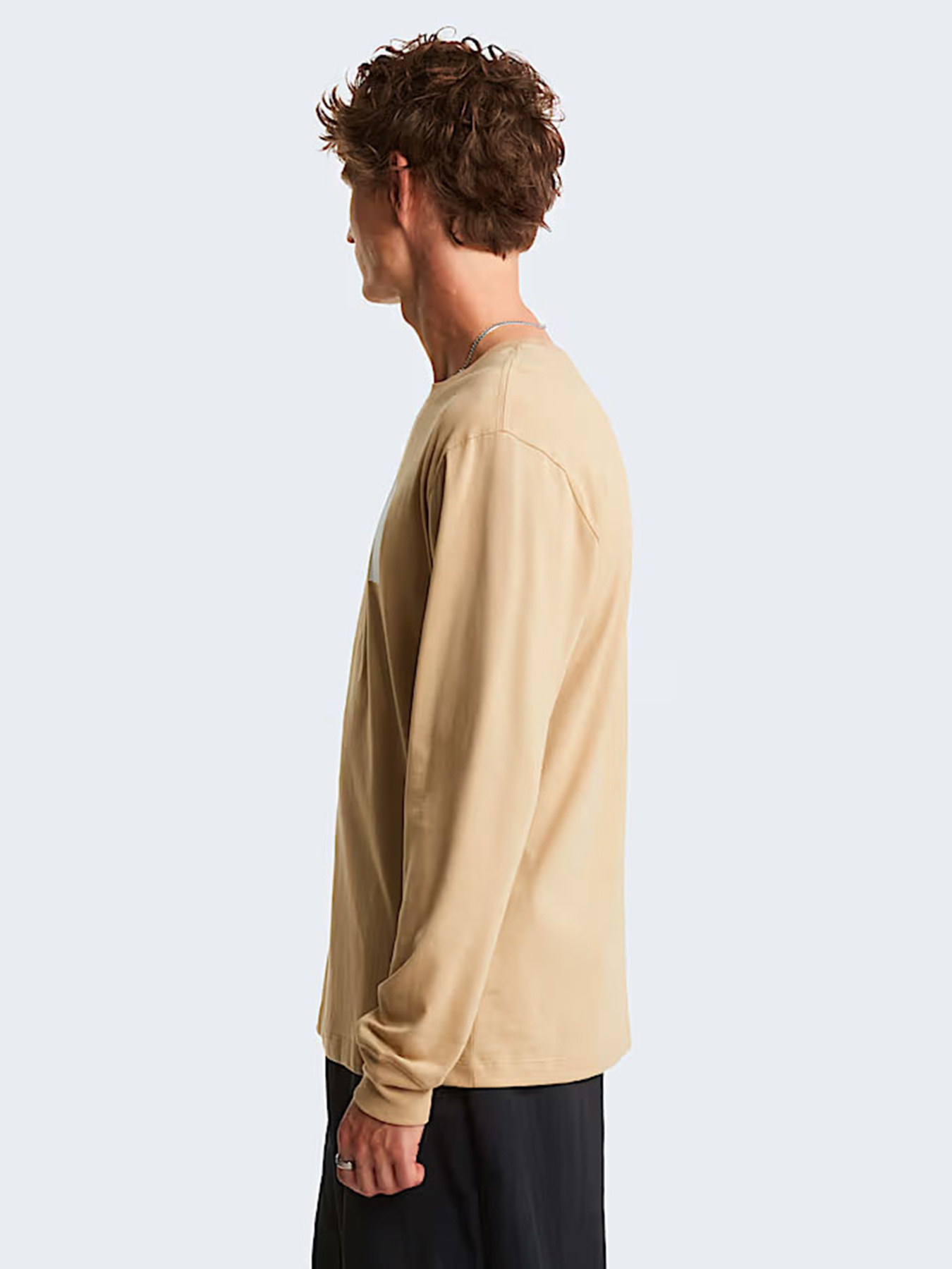 Лонгслів The North Face M EVOLUTION HALF DOME REGULAR модель NF0A8FD6LK51 Фото