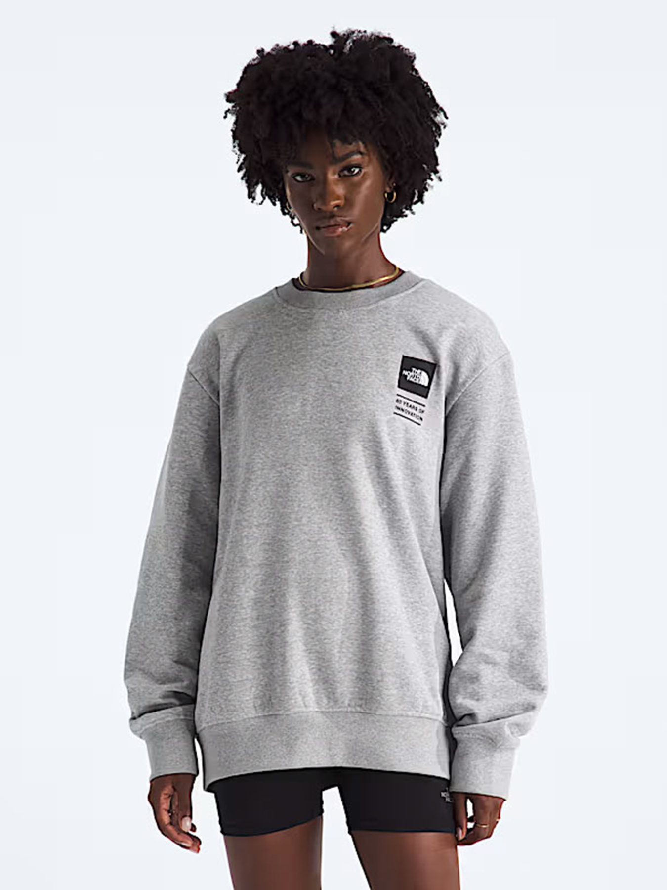 The North Face модель NF0A8GATDYX1 Фото