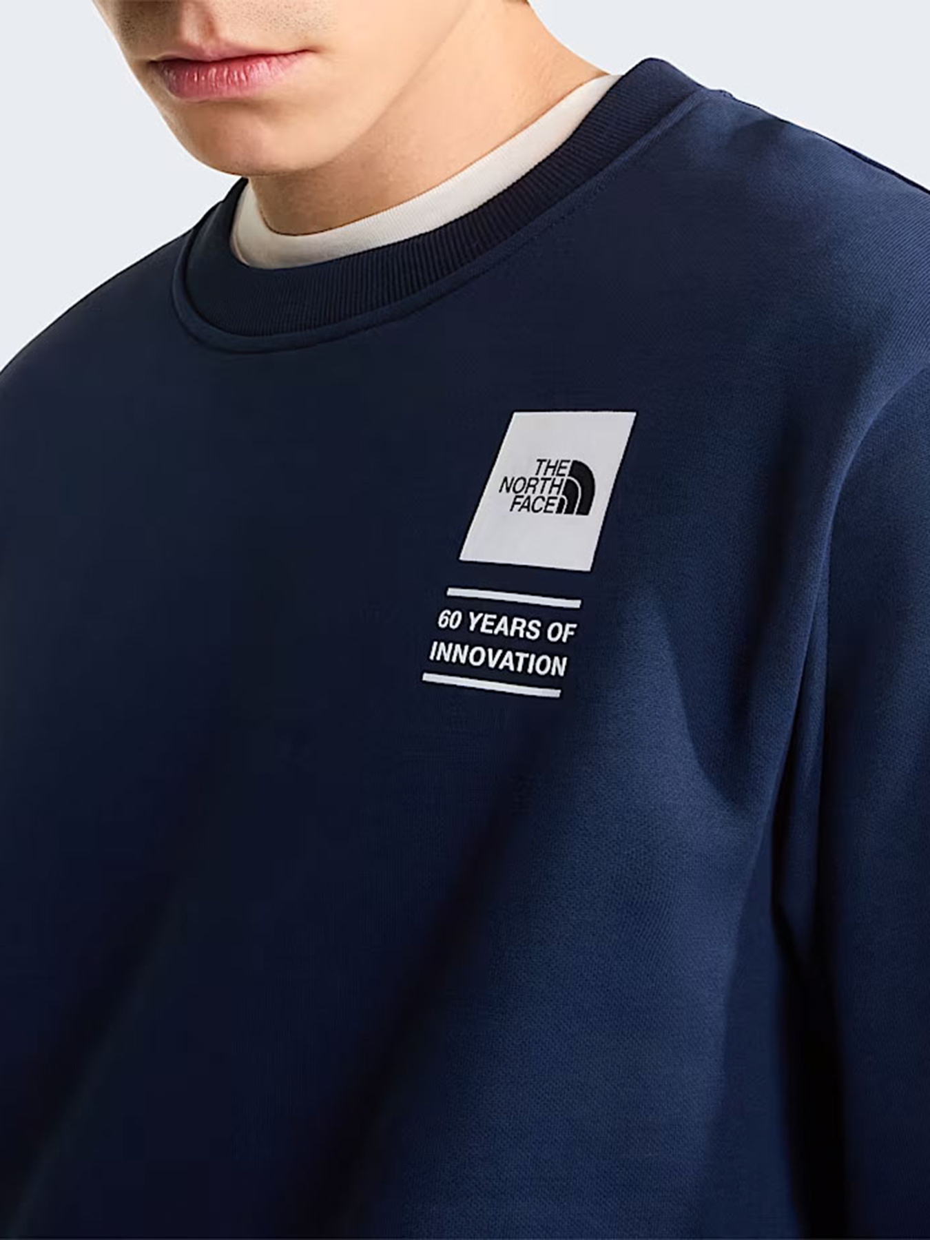 The North Face модель NF0A8GAT8K21 Фото