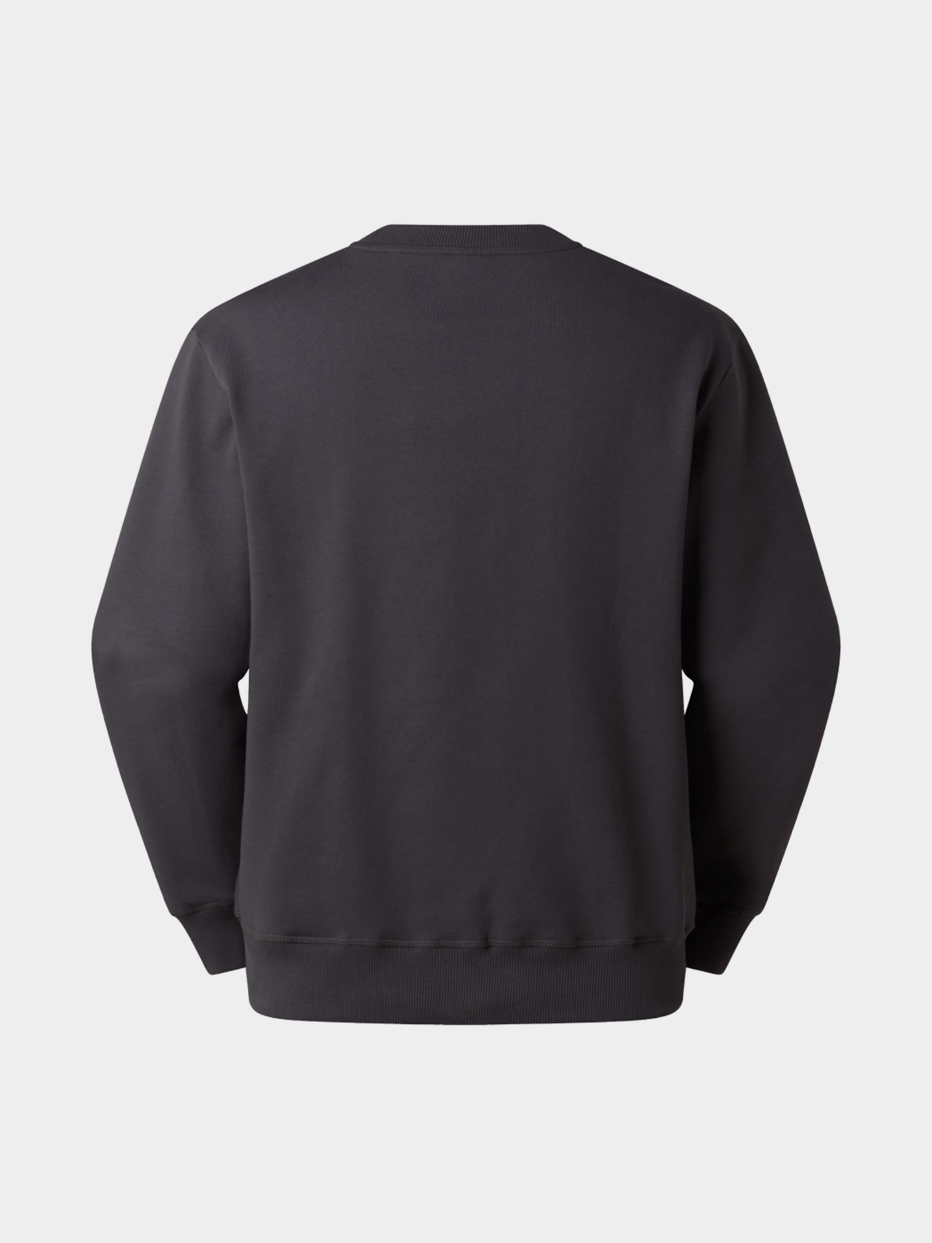 Худи и свитшоты The North Face U ESSENTIAL LIGHT RELAXED CREW модель NF0A8GQCRHI1 Фото