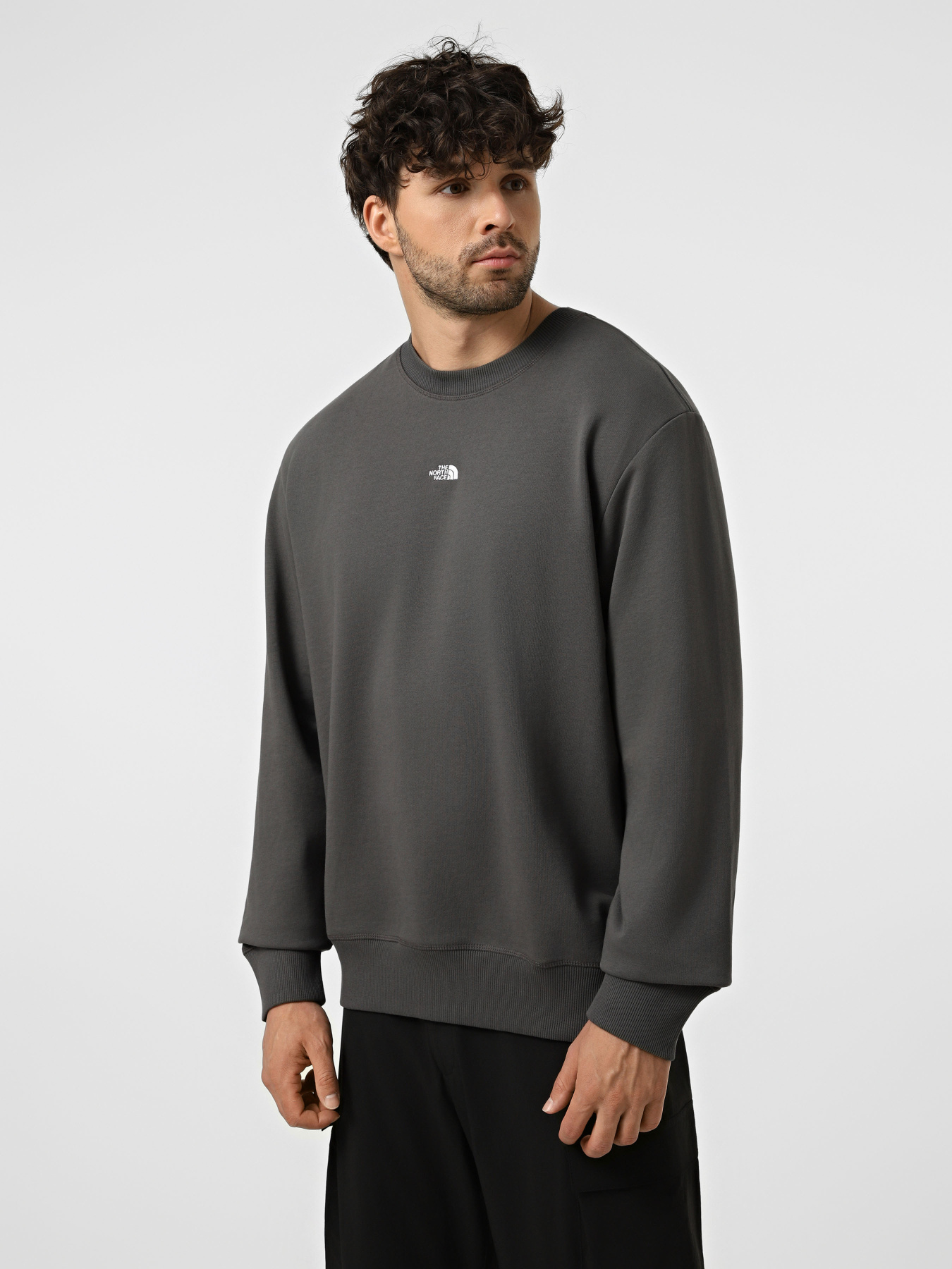 Худи и свитшоты The North Face U ESSENTIAL LIGHT RELAXED CREW модель NF0A8GQCRHI1 Фото
