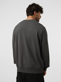 Худи и свитшоты The North Face U ESSENTIAL LIGHT RELAXED CREW модель NF0A8GQCRHI1 Фото