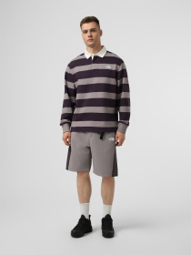 Футболки и поло The North Face U RUGBY POLO SWEATSHIRT модель NF0A8GAWJZU1 Фото