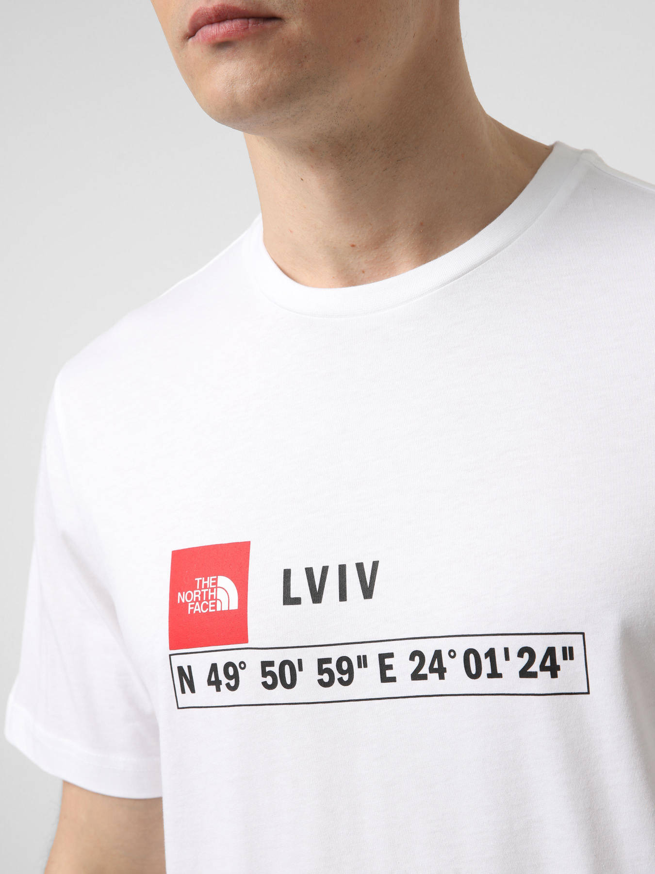 Футболка The North Face LVIV модель NF0A8HNGFN41 Фото