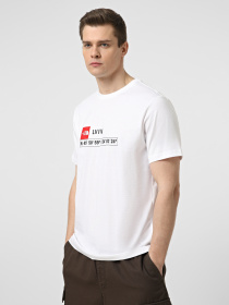 Футболка The North Face LVIV модель NF0A8HNGFN41 Фото