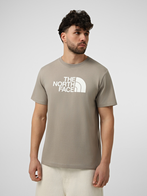 Футболка The North Face M EVOLUTION HALF DOME REGULAR модель NF0A8B6J2MB1 Фото