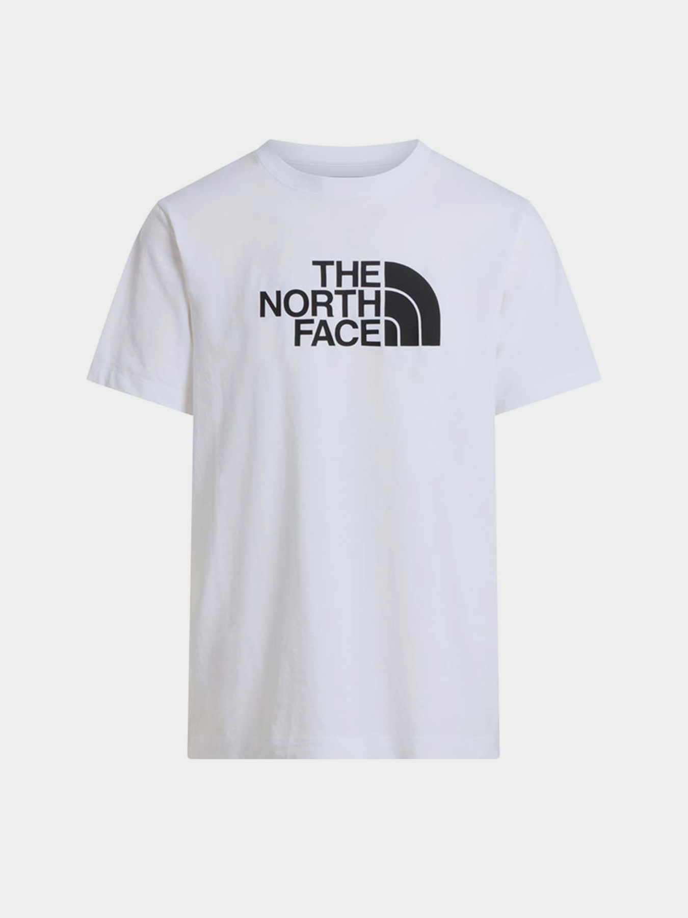 The North Face NF0A8B6JLA91 модель NF0A8B6JLA91 Фото