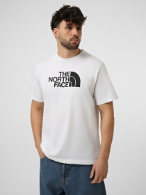 Футболка The North Face M EVOLUTION HALF DOME REGULAR модель NF0A8B6JLA91 Фото