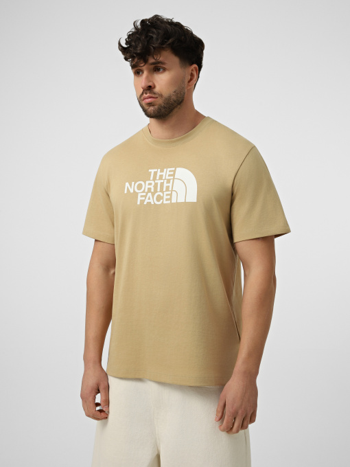 Футболка The North Face M EVOLUTION HALF DOME REGULAR модель NF0A8B6JLK51 Фото