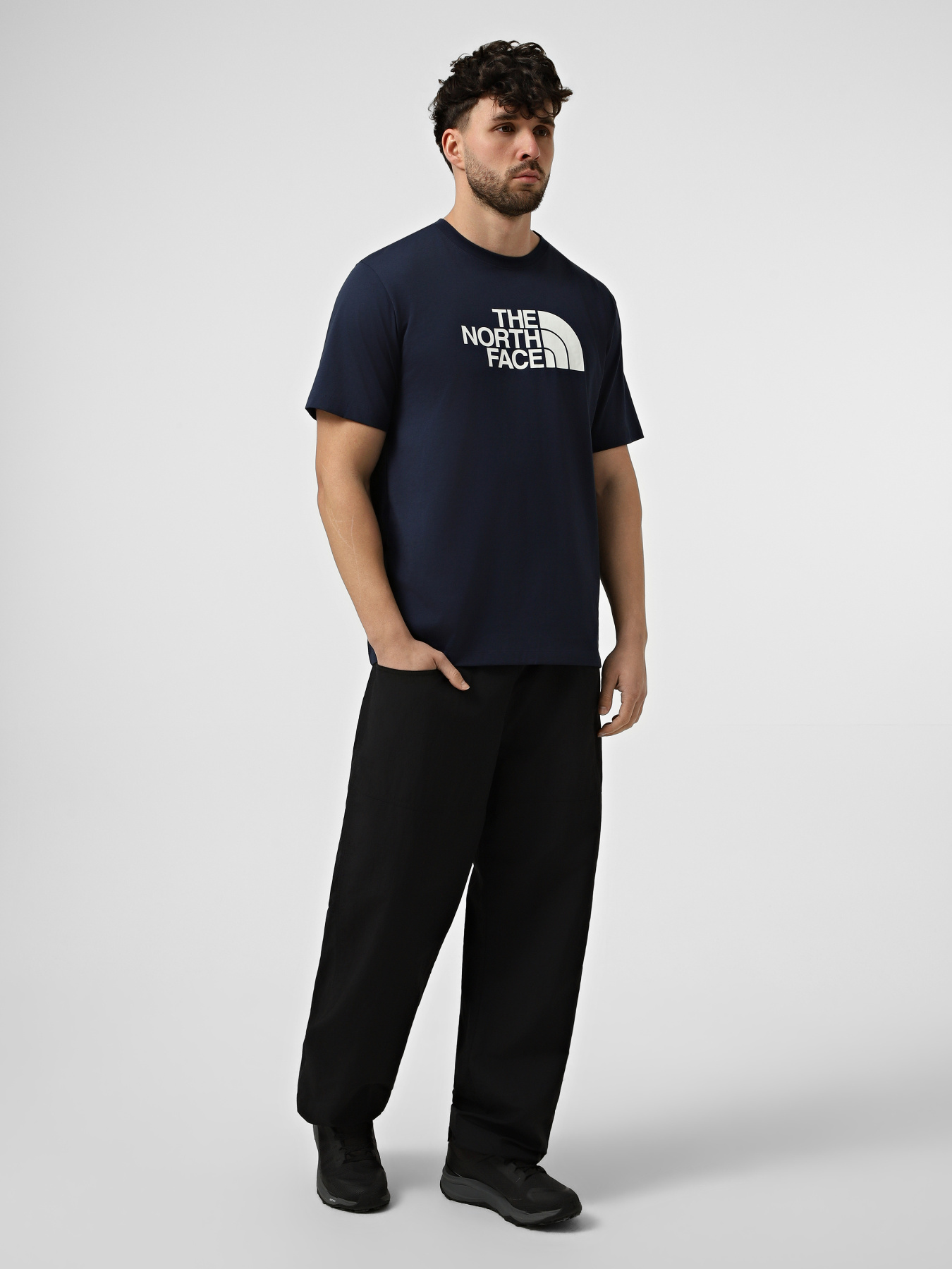 Футболки и поло The North Face M EVOLUTION HALF DOME REGULAR модель NF0A8B6JI851 Фото