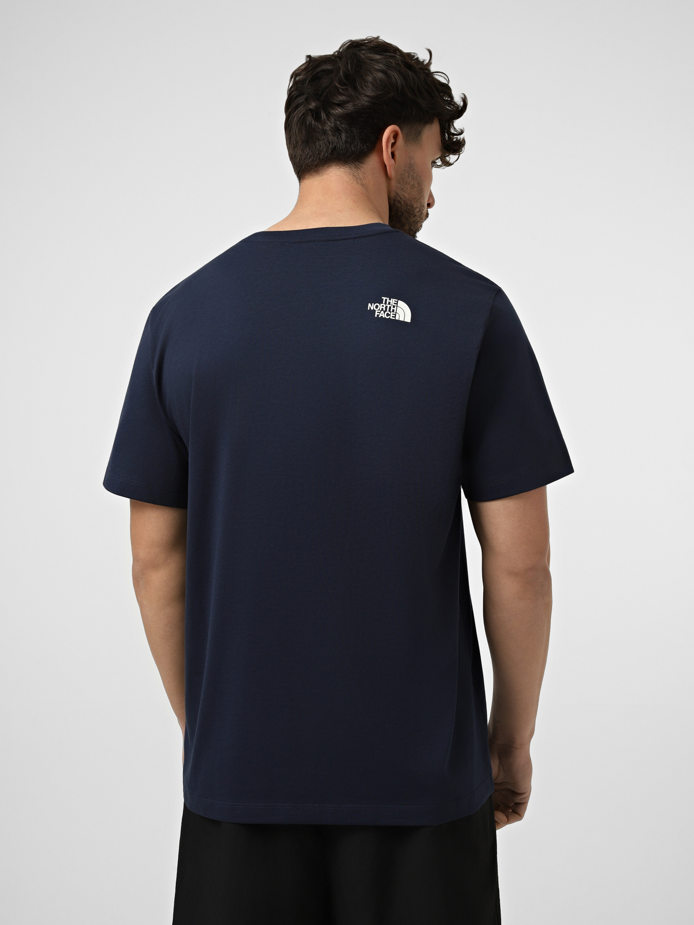 Футболки и поло The North Face M EVOLUTION HALF DOME REGULAR модель NF0A8B6JI851 Фото