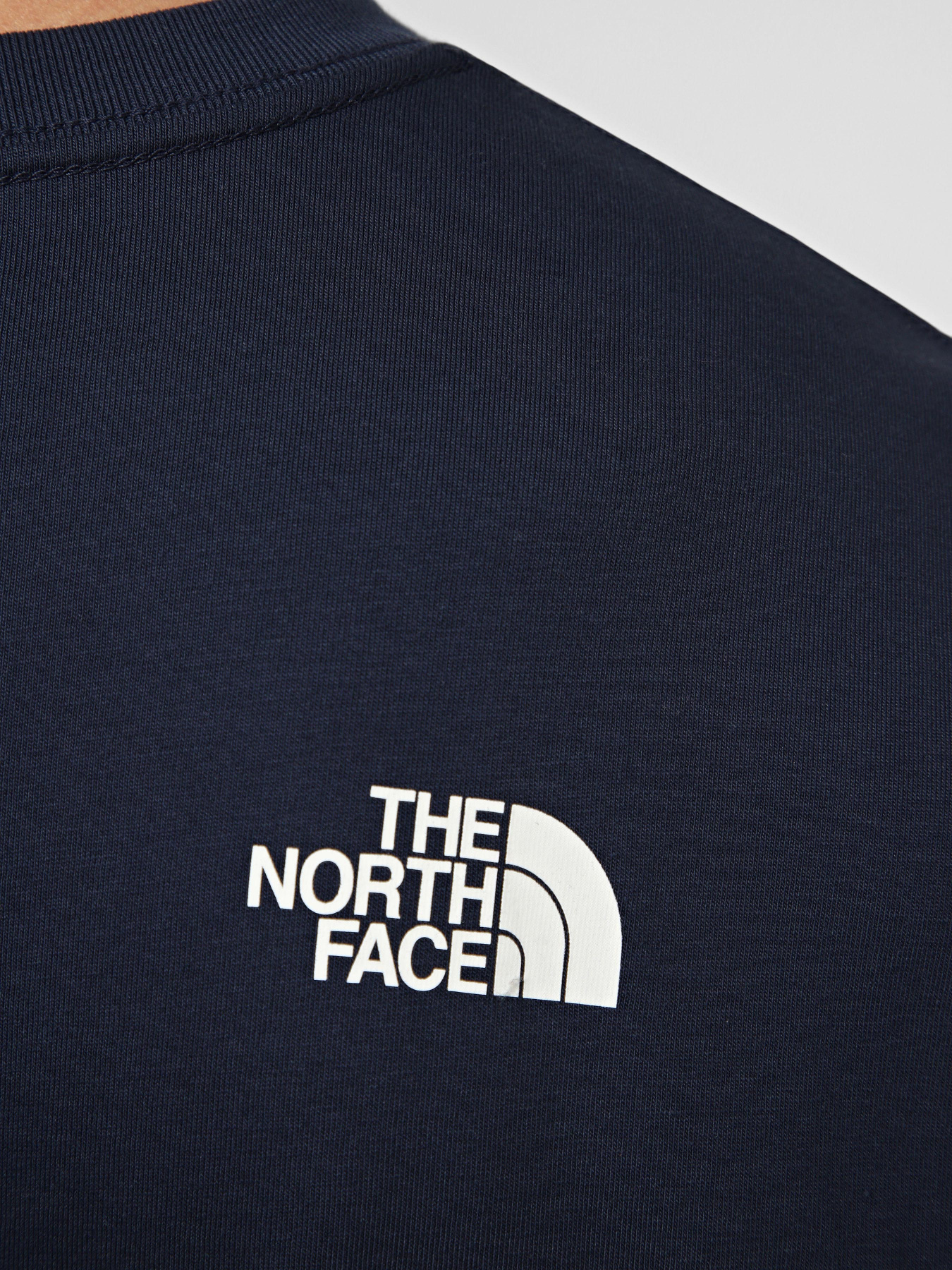 Футболки и поло The North Face M EVOLUTION HALF DOME REGULAR модель NF0A8B6JI851 Фото