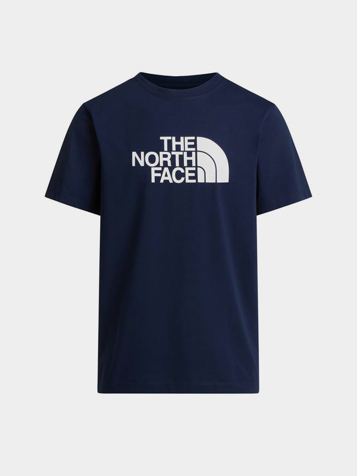 The North Face NF0A8B6JI851 модель NF0A8B6JI851 Фото