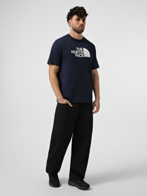 Футболки и поло The North Face M EVOLUTION HALF DOME REGULAR модель NF0A8B6JI851 Фото