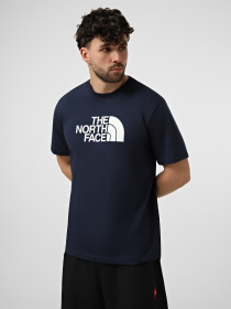 Футболка The North Face M EVOLUTION HALF DOME REGULAR модель NF0A8B6JI851 Фото