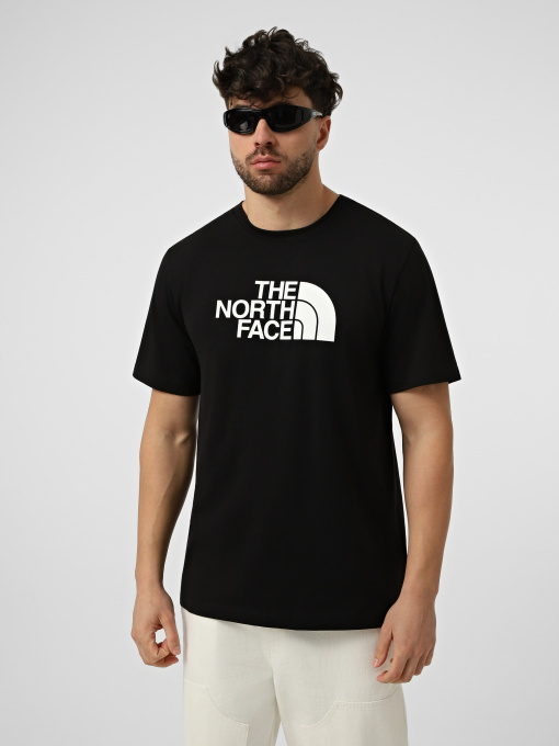 Футболка The North Face M EVOLUTION HALF DOME REGULAR модель NF0A8B6JKY41 Фото