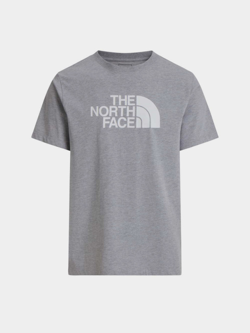 The North Face модель NF0A8B6JCU71 Фото