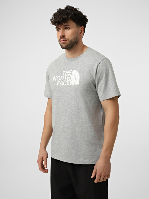 Футболка The North Face M EVOLUTION HALF DOME REGULAR модель NF0A8B6JCU71 Фото