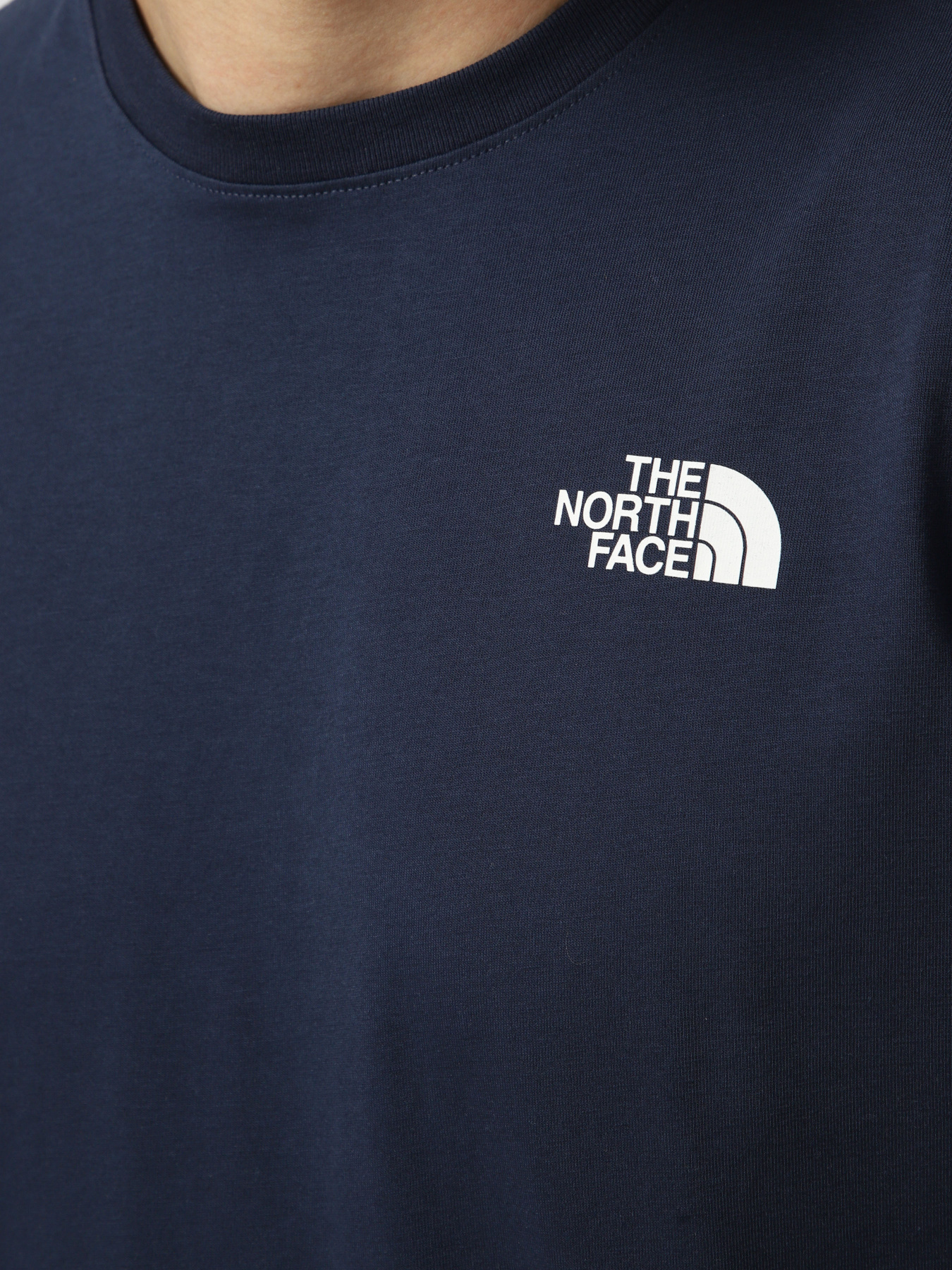 Футболки и поло The North Face M EVOLUTION BOX NSE REGULAR SH модель NF0A8B6K8K21 Фото