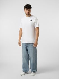 Футболки и поло The North Face M EVOLUTION BOX NSE REGULAR SH модель NF0A8B6KFN41 Фото