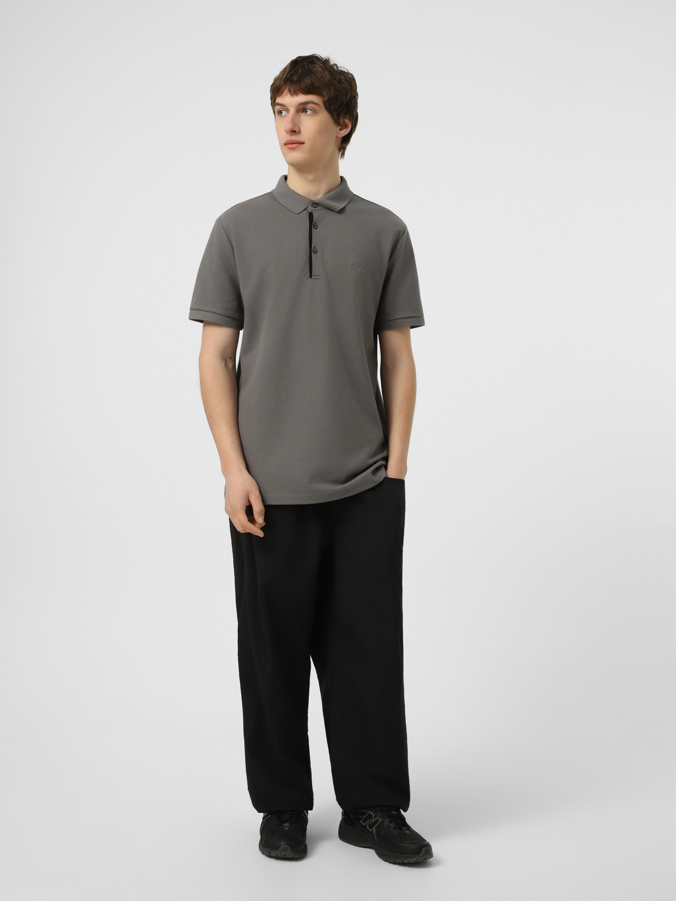 Футболки и поло The North Face M PREMIUM SLIM POLO модель NF0A8C1N0UZ1 Фото