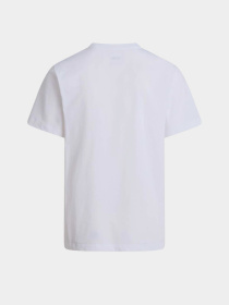 Футболка The North Face M EVOLUTION SIMPLE DOME REGULA модель NF0A8CZ2FN41 Футболка The North Face M EVOLUTION SIMPLE DOME REGULA модель NF0A8CZ2FN41 Фото