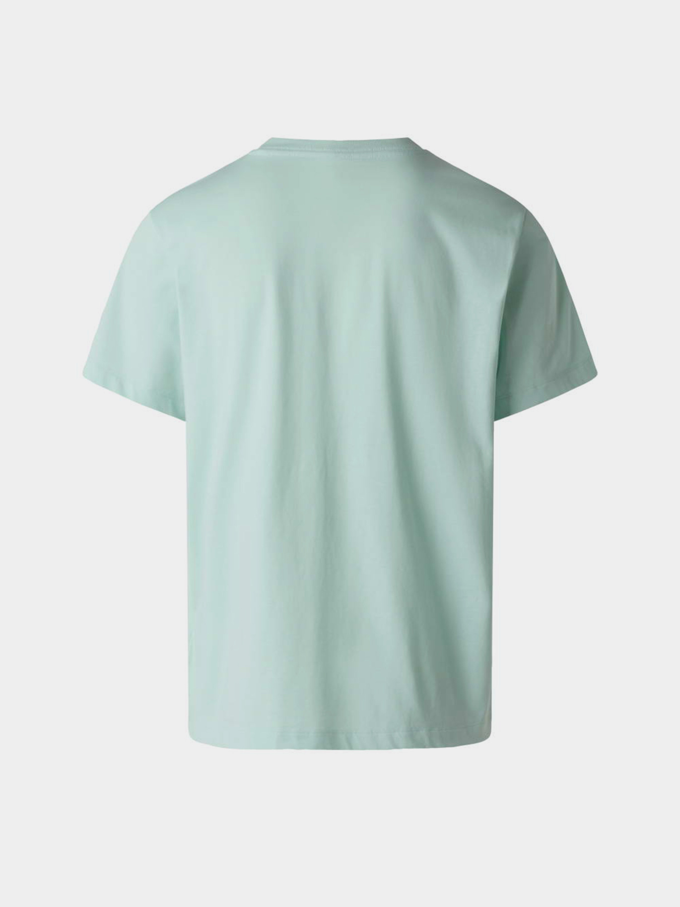 The North Face модель NF0A8CZ2G701 Фото