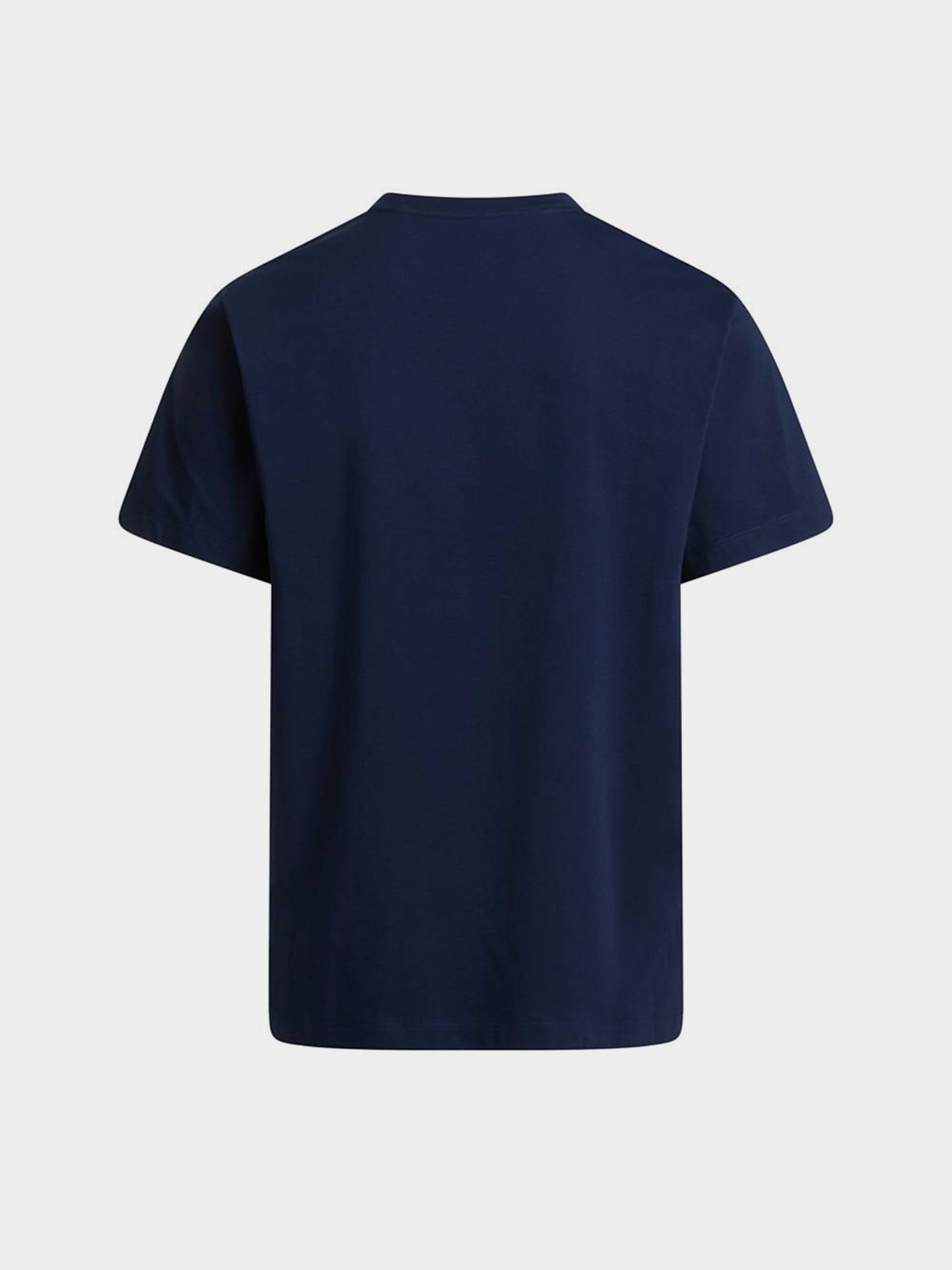 The North Face модель NF0A8CZ28K21 Фото