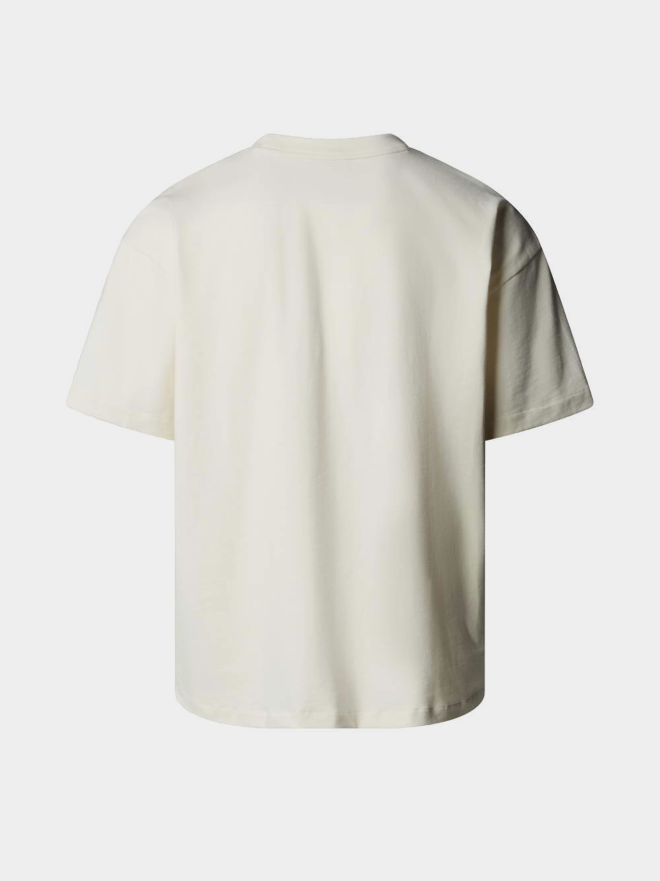 The North Face модель NF0A8EG5QLI1 Фото