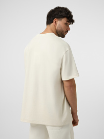 Футболки и поло The North Face M TNF RED BOX S/S TEE модель NF0A8EG5QLI1 Фото