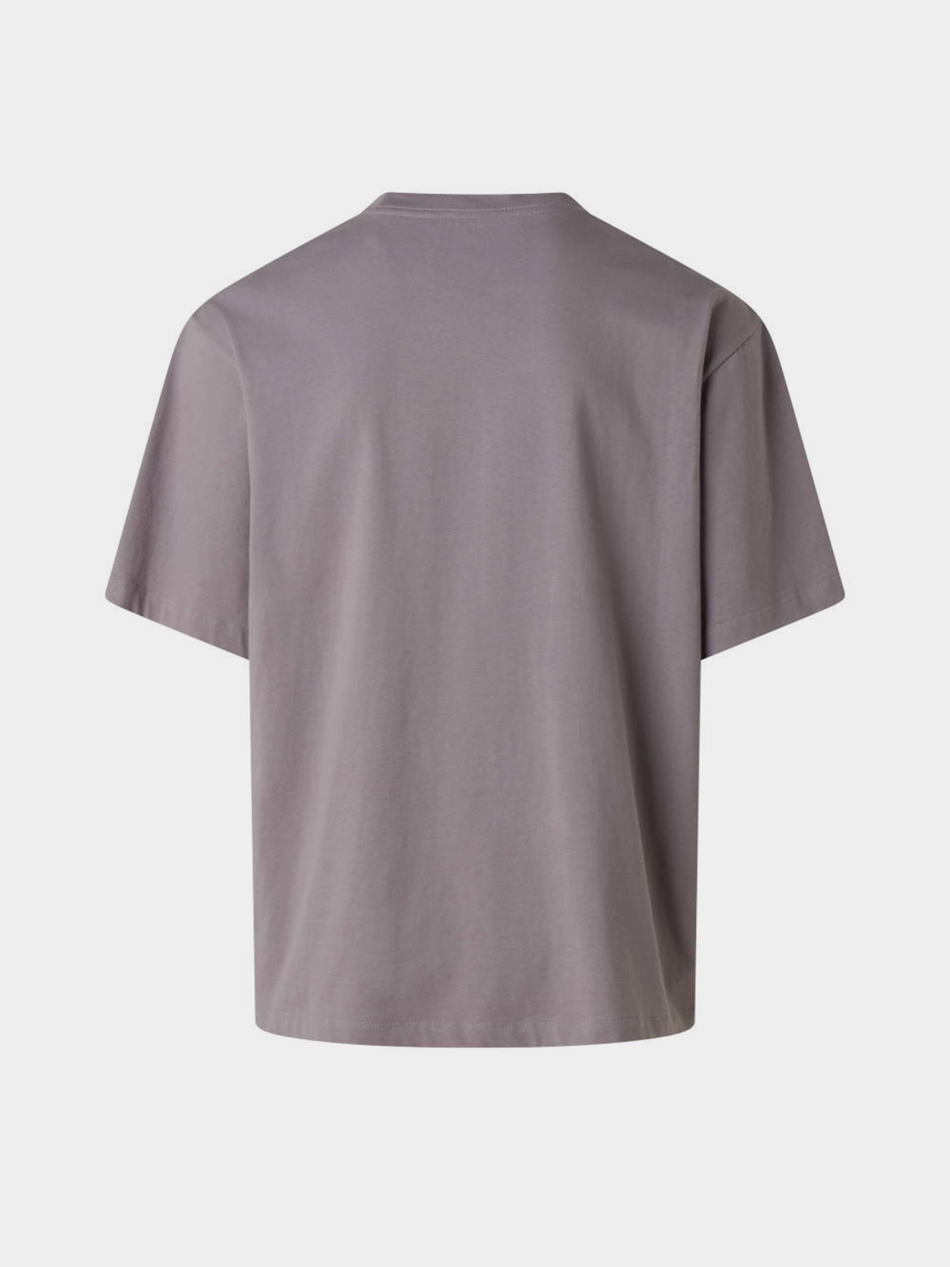 Футболка The North Face M TNF ESSENTIAL SIMPLE DOME OS модель NF0A8EVWG7O1 Футболка The North Face M TNF ESSENTIAL SIMPLE DOME OS модель NF0A8EVWG7O1 Фото