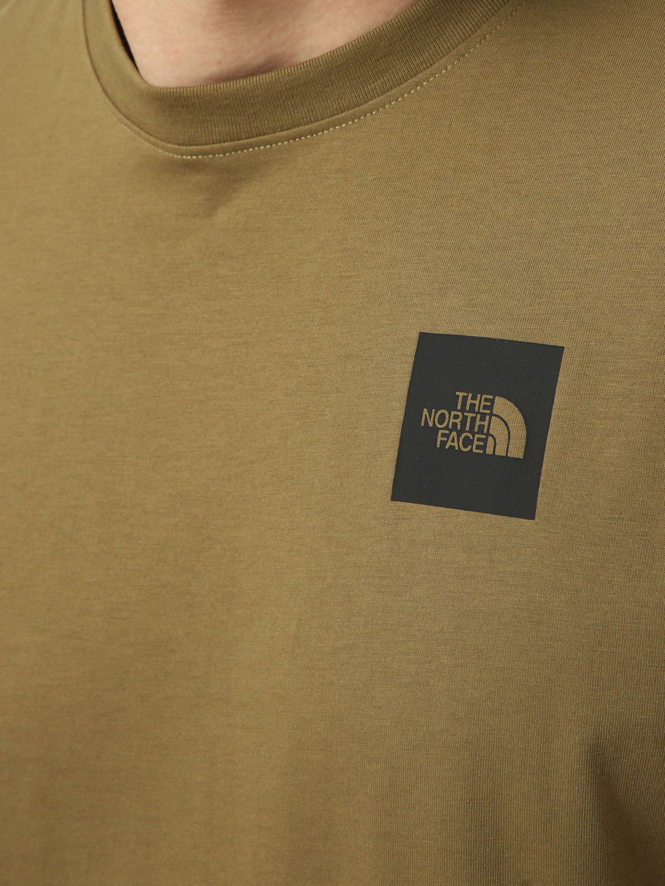 Футболки и поло The North Face M EVOLUTION BOX HALF DOME REGU модель NF0A8G9C2EL1 Фото