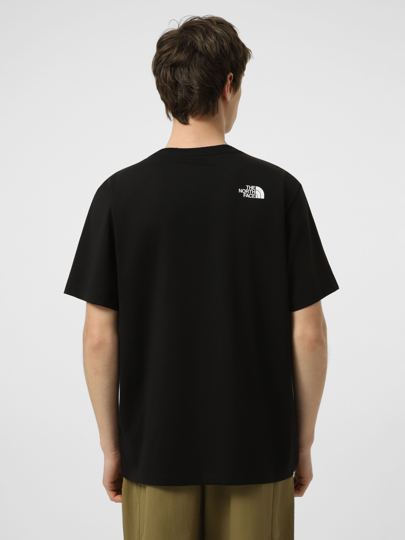 Футболки и поло The North Face M EVOLUTION BOX HALF DOME REGU модель NF0A8G9CJK31 Фото