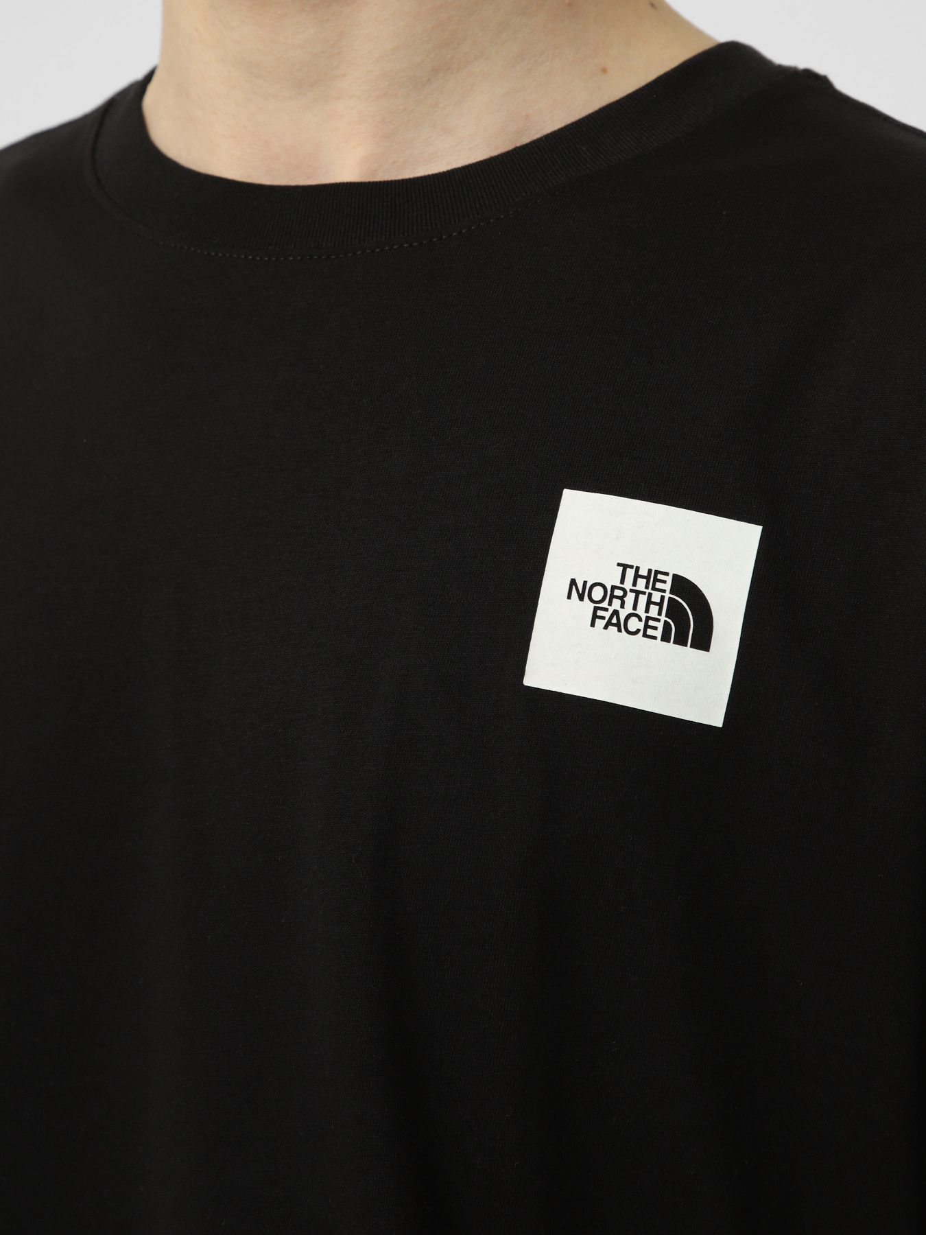 Футболки и поло The North Face M EVOLUTION BOX HALF DOME REGU модель NF0A8G9CJK31 Фото