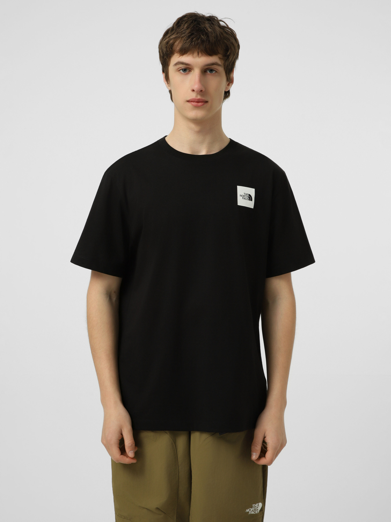 Футболки и поло The North Face M EVOLUTION BOX HALF DOME REGU модель NF0A8G9CJK31 Фото