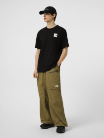 Футболки и поло The North Face M EVOLUTION BOX HALF DOME REGU модель NF0A8G9CJK31 Фото