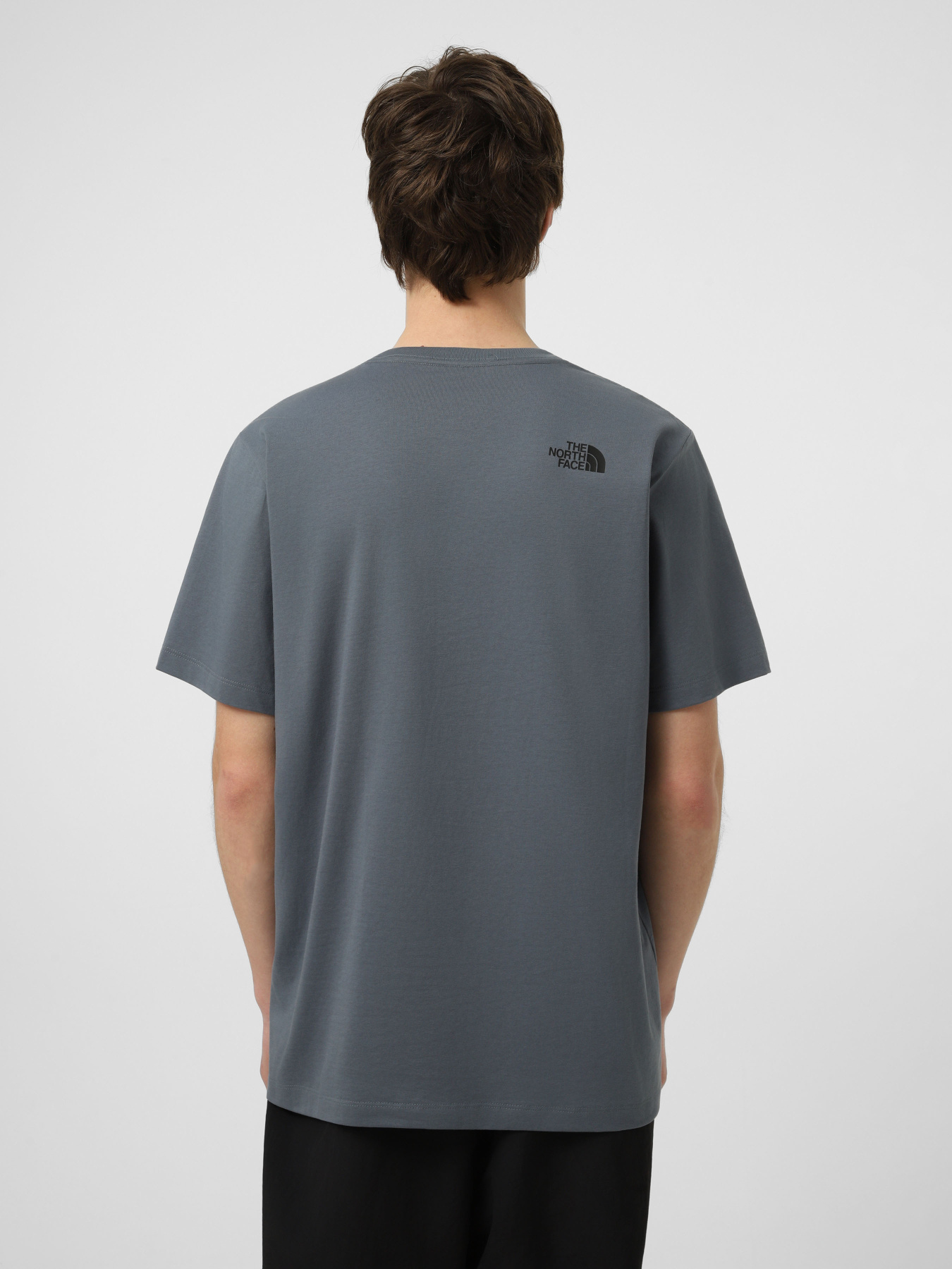 Футболки и поло The North Face M EVOLUTION BOX HALF DOME REGU модель NF0A8G9C0U31 Фото