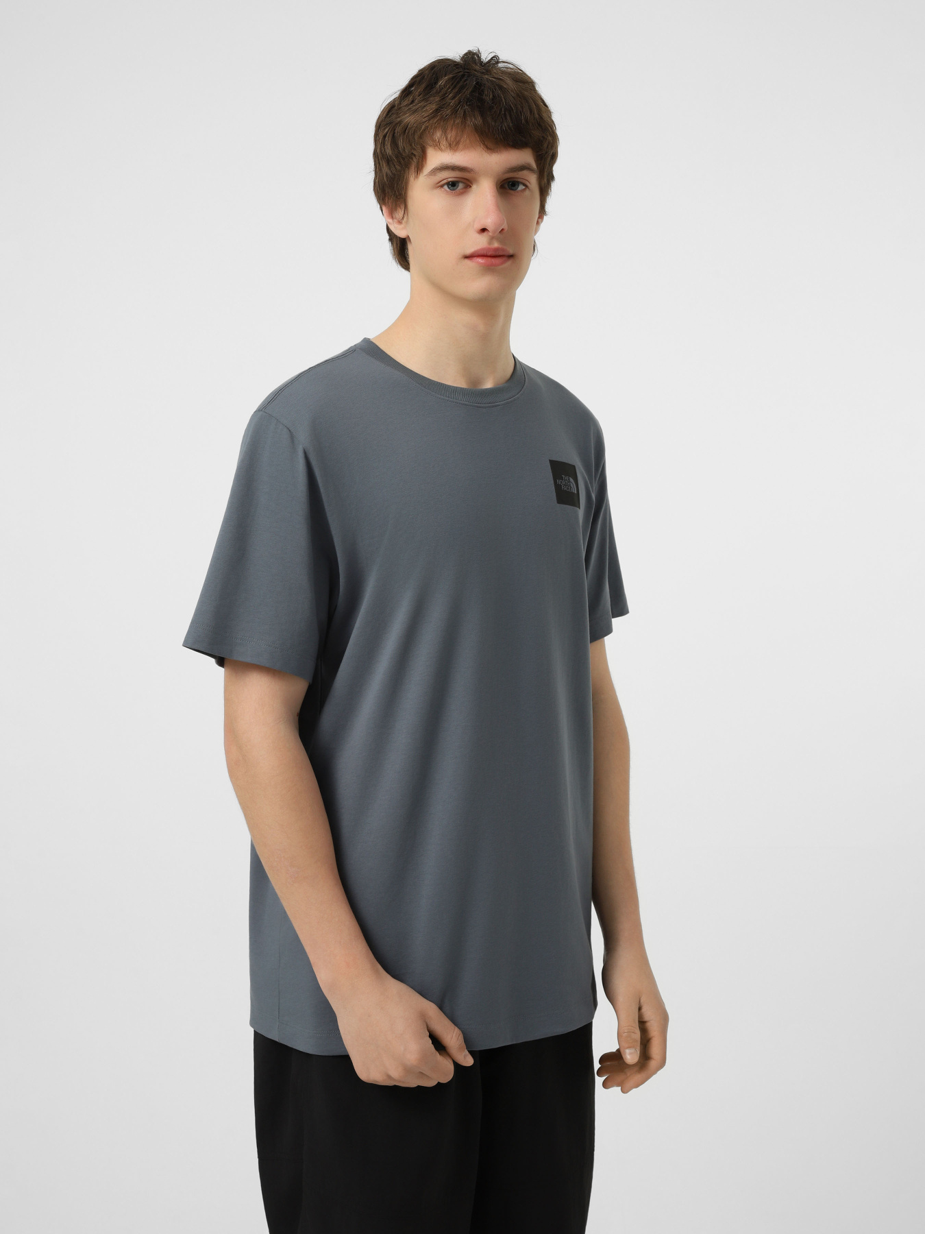 Футболки и поло The North Face M EVOLUTION BOX HALF DOME REGU модель NF0A8G9C0U31 Фото