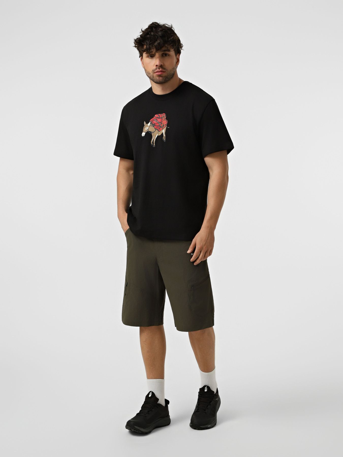 Футболки и поло The North Face M DONKEY TAXI RELAXED SHORT SL модель NF0A8G9FJK31 Футболки и поло The North Face M DONKEY TAXI RELAXED SHORT SL модель NF0A8G9FJK31 Фото