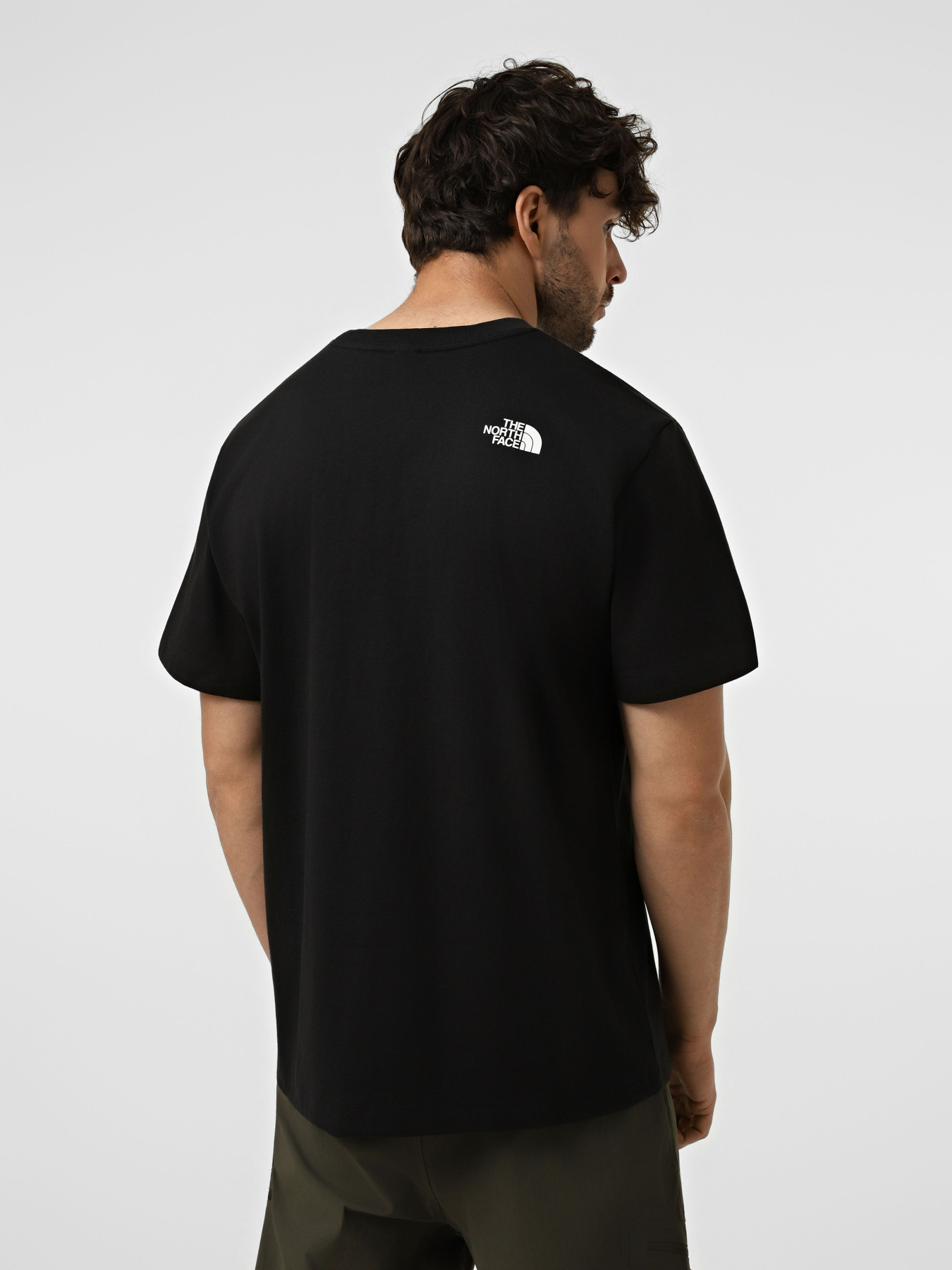 Футболки и поло The North Face M DONKEY TAXI RELAXED SHORT SL модель NF0A8G9FJK31 Футболки и поло The North Face M DONKEY TAXI RELAXED SHORT SL модель NF0A8G9FJK31 Фото