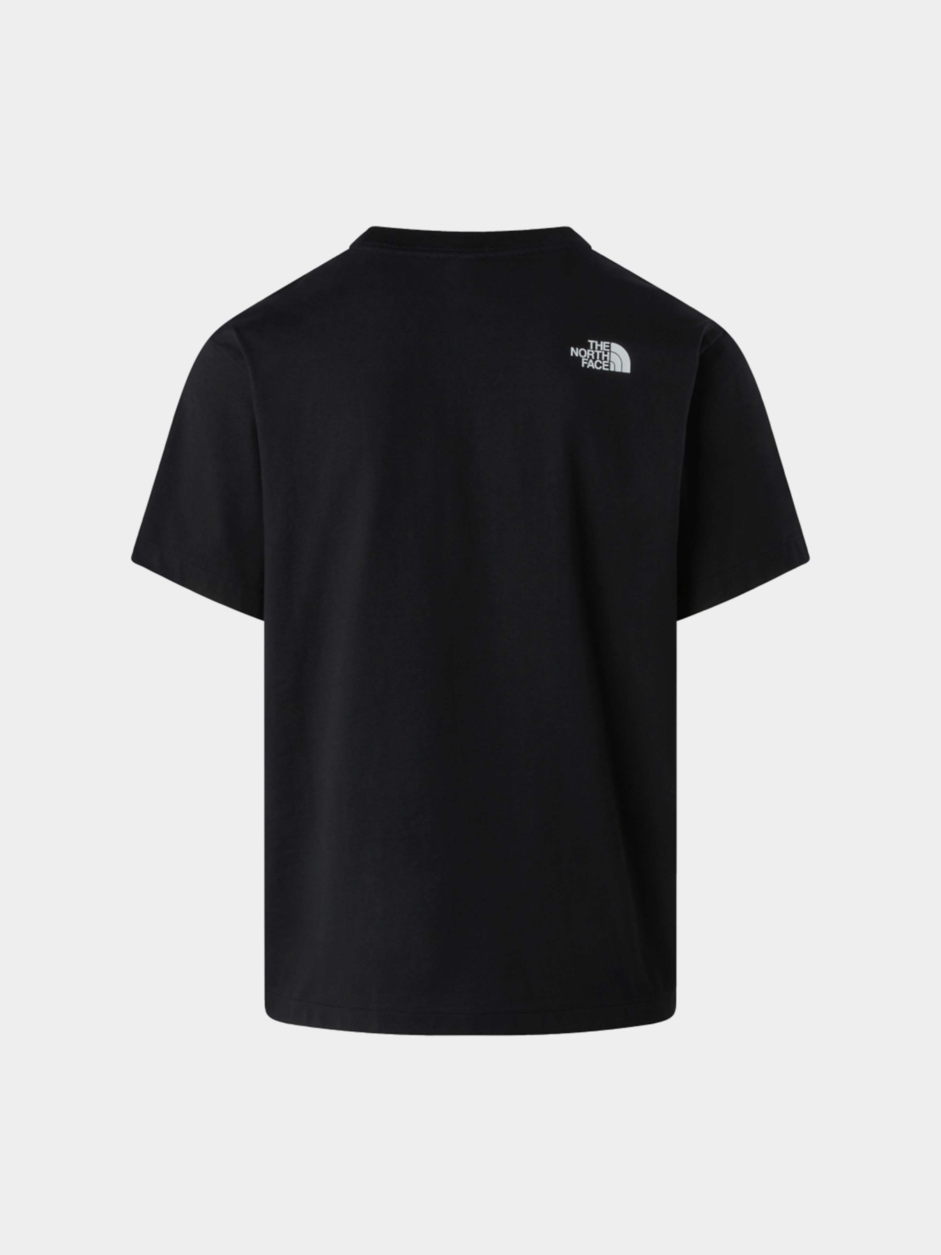 Футболки и поло The North Face M DONKEY TAXI RELAXED SHORT SL модель NF0A8G9FJK31 Фото