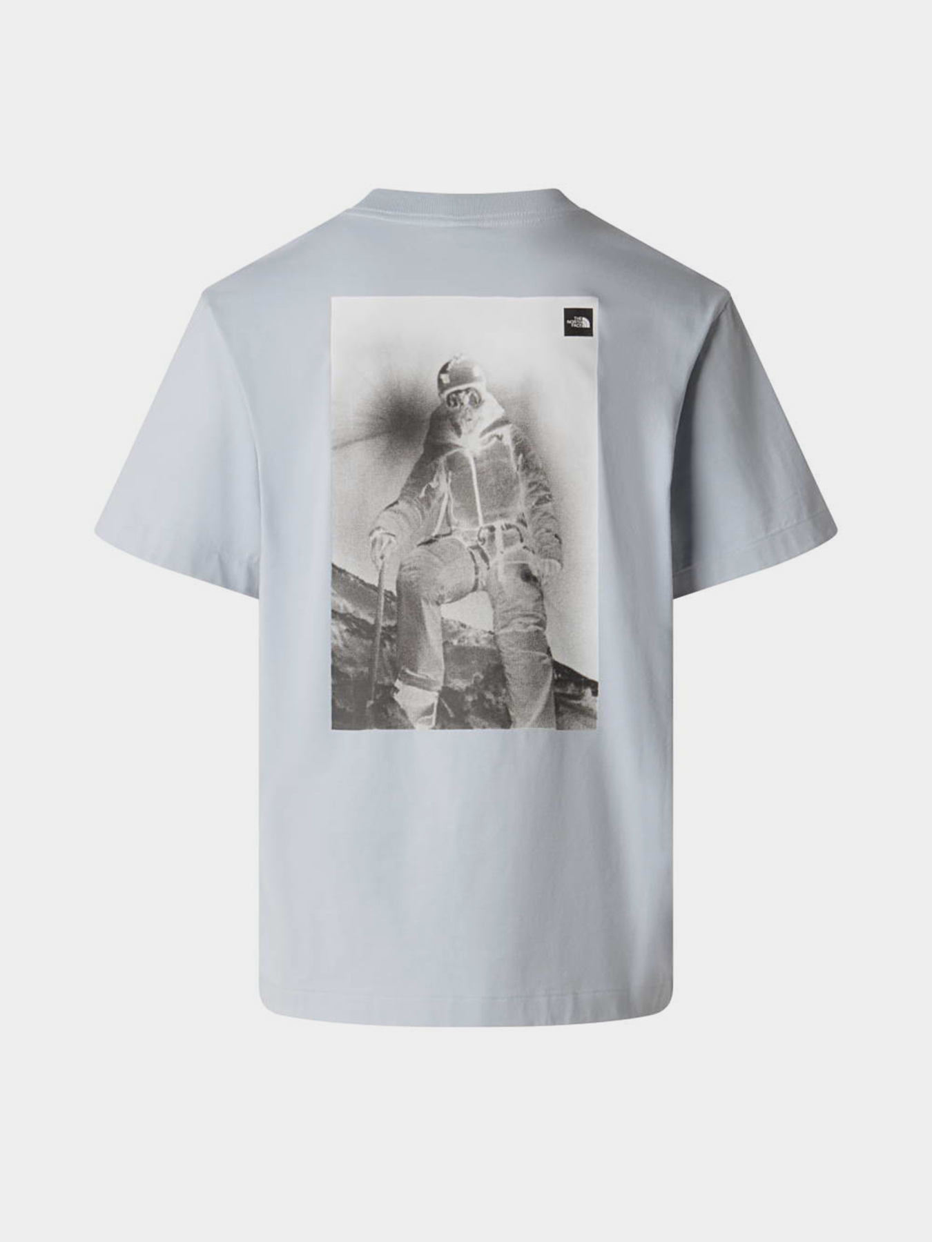 The North Face модель NF0A8G9KFM21 Фото