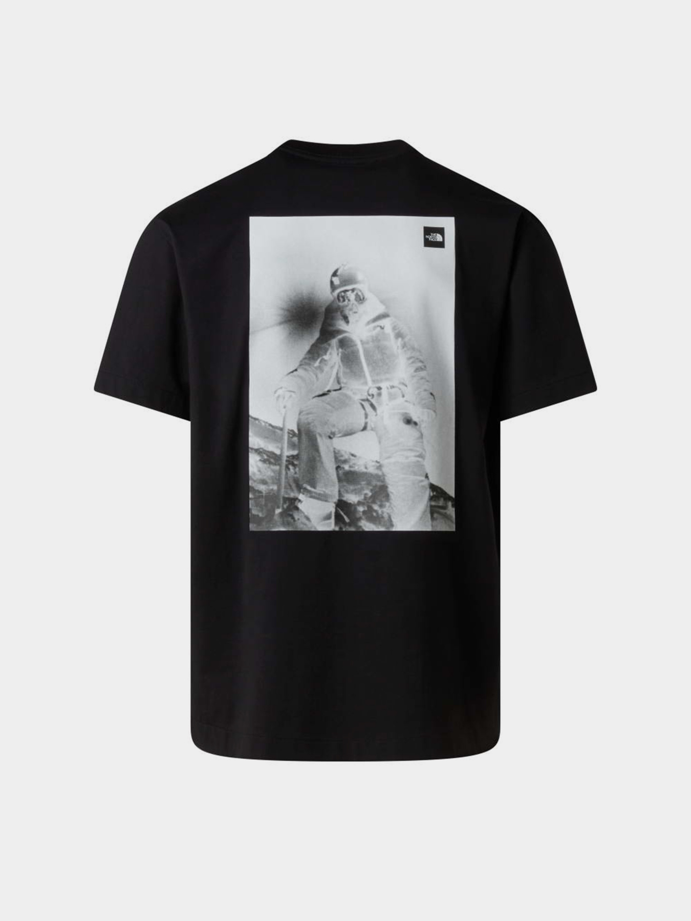 The North Face модель NF0A8G9KJK31 Фото