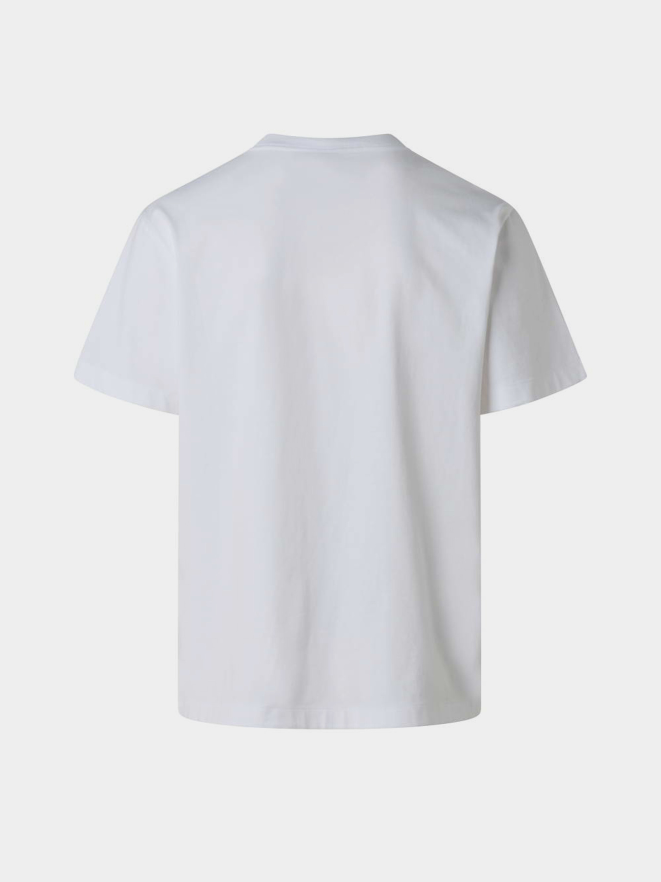 The North Face NF0A8G9MFN41 модель NF0A8G9MFN41 Фото