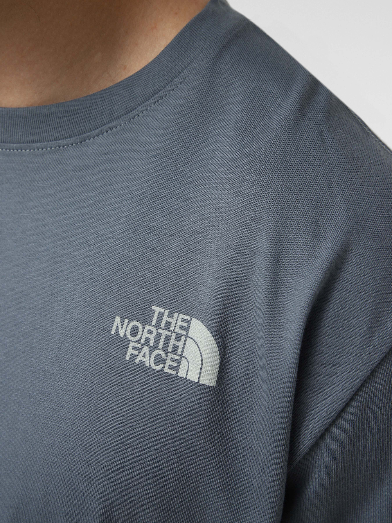 Футболки и поло The North Face M RETRO EARTH RELAXED SHORT SL модель NF0A8G9P0U31 Футболки и поло The North Face M RETRO EARTH RELAXED SHORT SL модель NF0A8G9P0U31 Фото