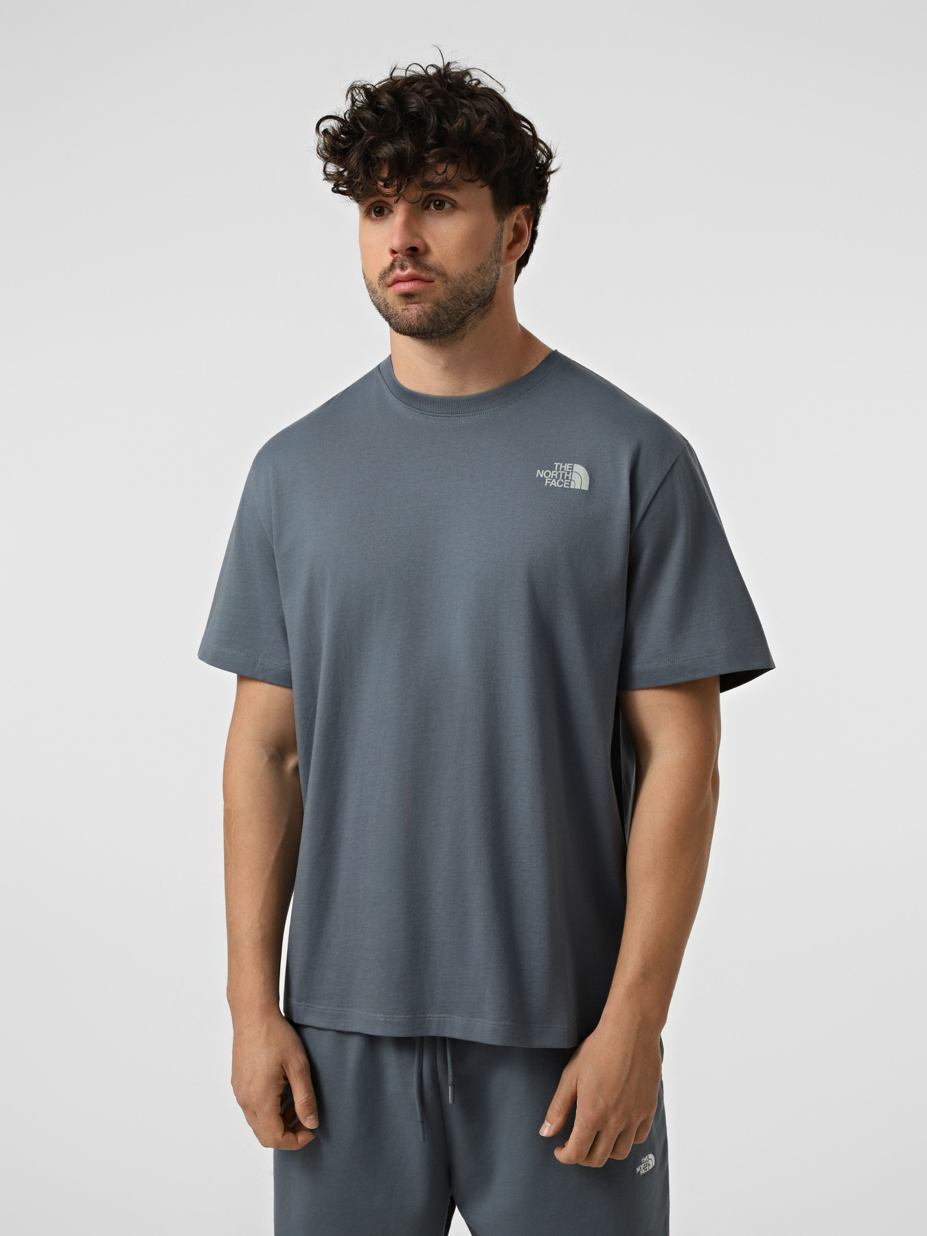 Футболки и поло The North Face M RETRO EARTH RELAXED SHORT SL модель NF0A8G9P0U31 Футболки и поло The North Face M RETRO EARTH RELAXED SHORT SL модель NF0A8G9P0U31 Фото