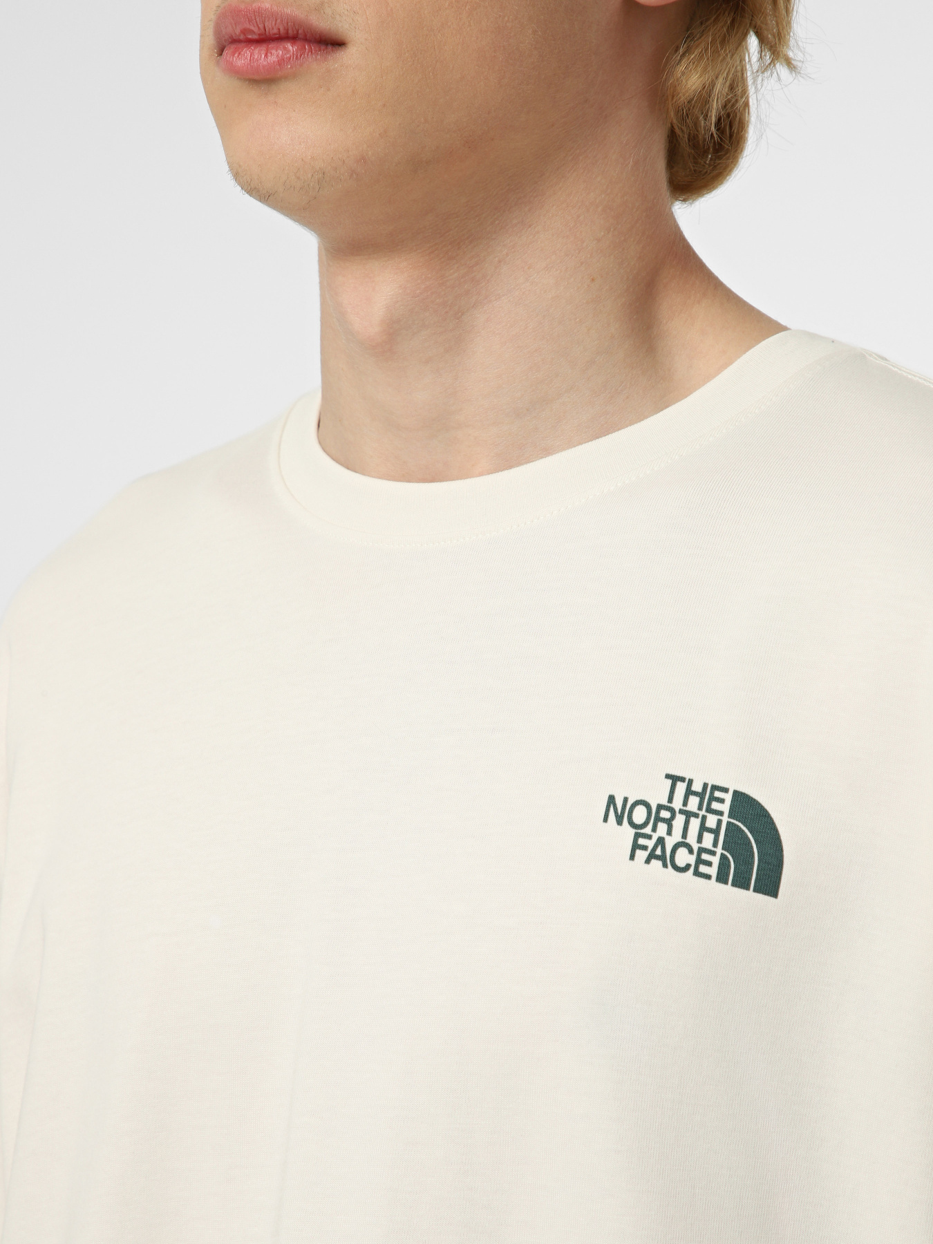 Футболки и поло The North Face M RETRO EARTH RELAXED SHORT SL модель NF0A8G9PQLI1 Фото