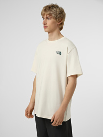Футболки і поло The North Face M RETRO EARTH RELAXED SHORT SL модель NF0A8G9PQLI1 Фото