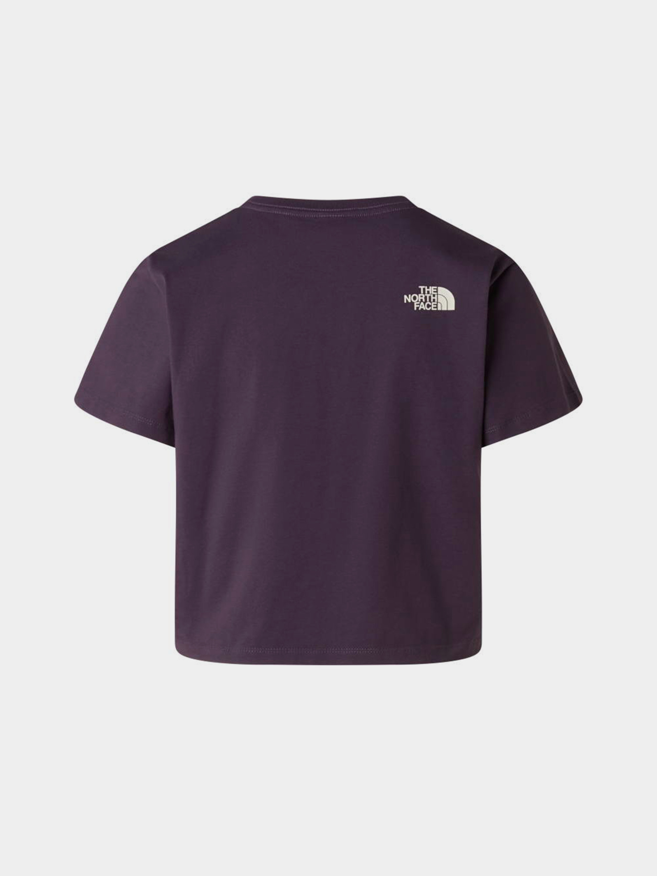 Футболки і поло The North Face W FLORA EMBRO REGULAR SHORT SL модель NF0A8G9QG5O1 Фото