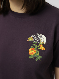 Футболки и поло The North Face W FLORA EMBRO REGULAR SHORT SL модель NF0A8G9QG5O1 Фото